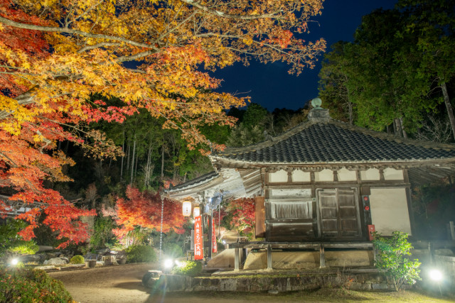 iwafu - National Treasure Zensu-ji Temple Autumn Leaves