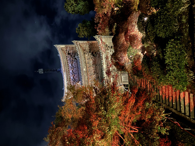 宗 イベコレ 2023 autumn Beauti-Fall Shinetsu Part 2: Niigata's Unbe-leaf-able Fall