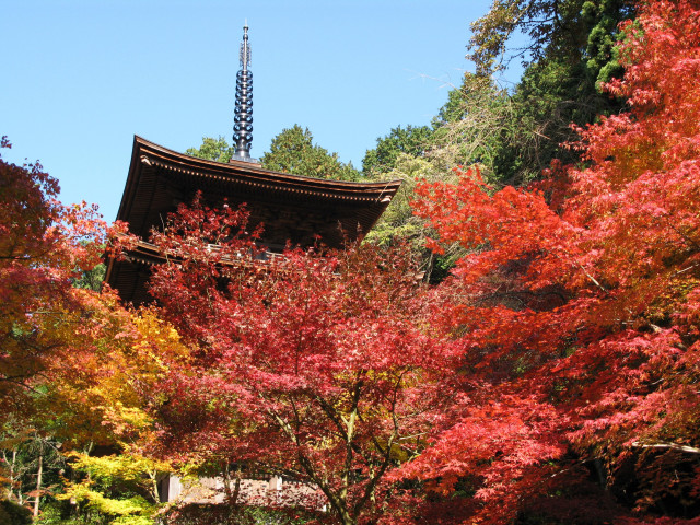 秘仏日本最古の大黒天（金運の神）特別公開 | 滋賀県観光情報［公式