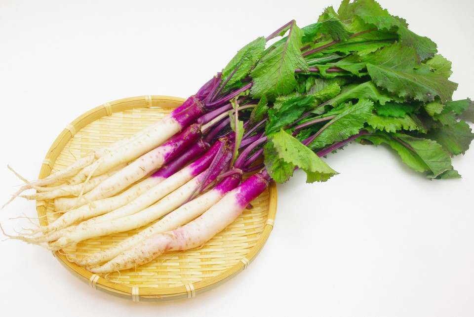 滋賀県の伝統野菜「日野菜」ってどんな野菜?栽培方法や、旬の時期など解説