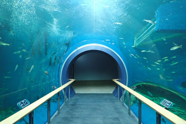 琵琶湖から「湖と人間」の関わりを学ぼう | 体験学習 | 教育旅行
