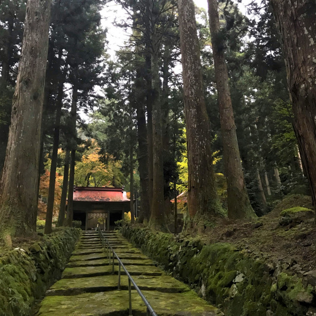 狛坂磨崖仏 | 滋賀県観光情報［公式観光サイト］滋賀・びわ湖のすべて