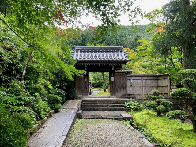 茶道具 一行 大徳寺 江州 弧篷庵 小堀定泰 江月照松風 茶杓 銘「里紅葉」 小堀定泰(作)本堂古竹で造る 方谷浩明老師筒