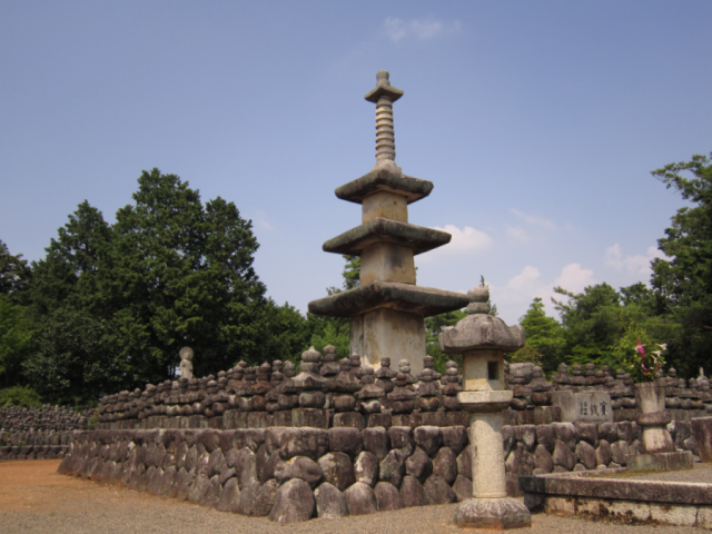 石塔寺 | 滋賀県観光情報［公式観光サイト］滋賀・びわ湖のすべてが
