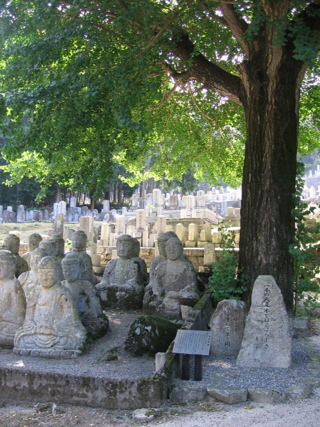 鵜川四十八体石仏群 | 滋賀県観光情報［公式観光サイト］滋賀