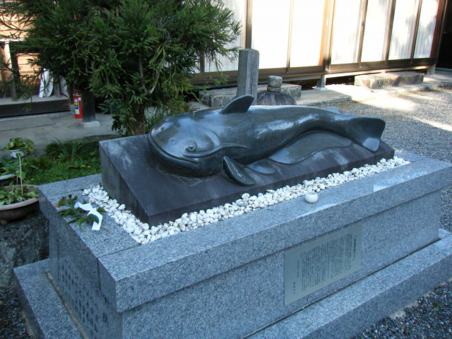 湖西 | 観光モデルコース | 滋賀県観光情報［公式観光サイト］滋賀