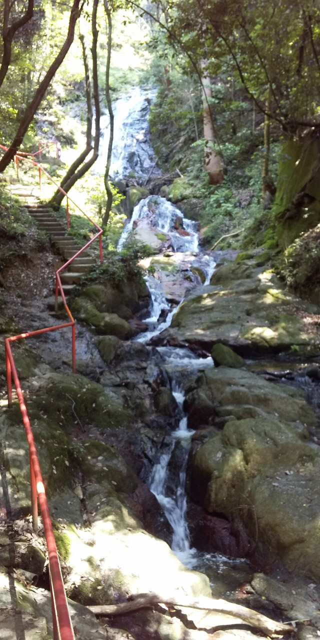 九品の滝 | 滋賀県観光情報［公式観光サイト］滋賀・びわ湖のすべてが