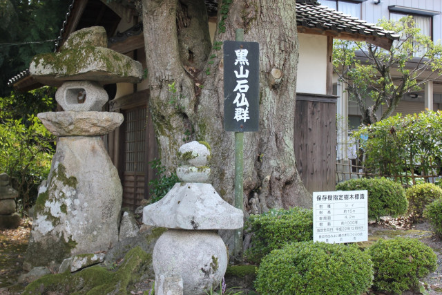 石仏 石仏探訪‐53 「今年の石仏探訪 あれこれと」 - 艸砦庵だより